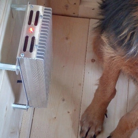 Cuccia esterna per cane in inverno